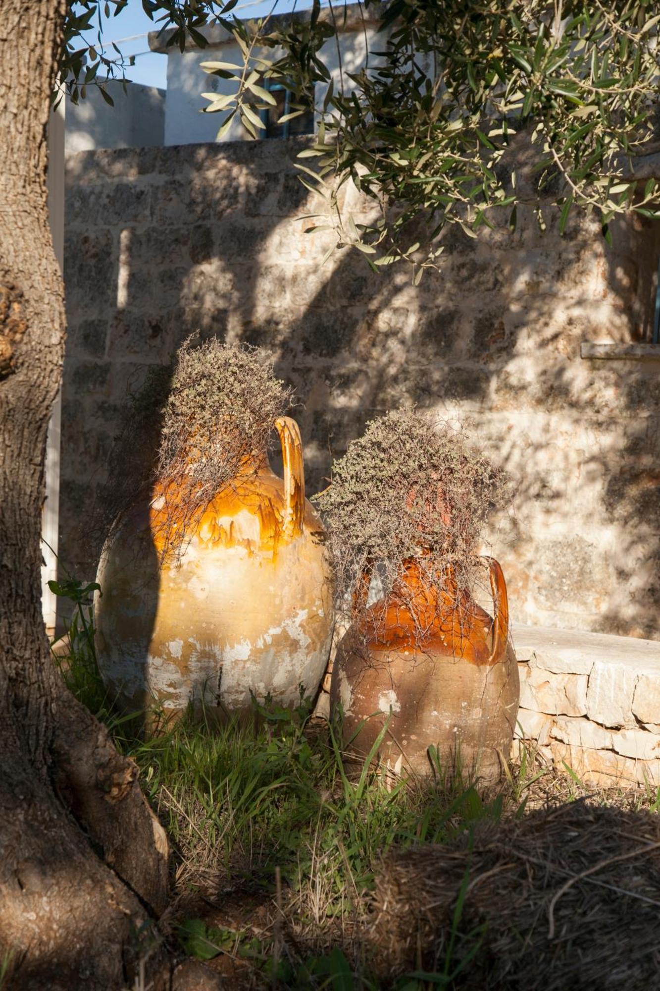 Trulli Alla Controra Конверсано Екстер'єр фото