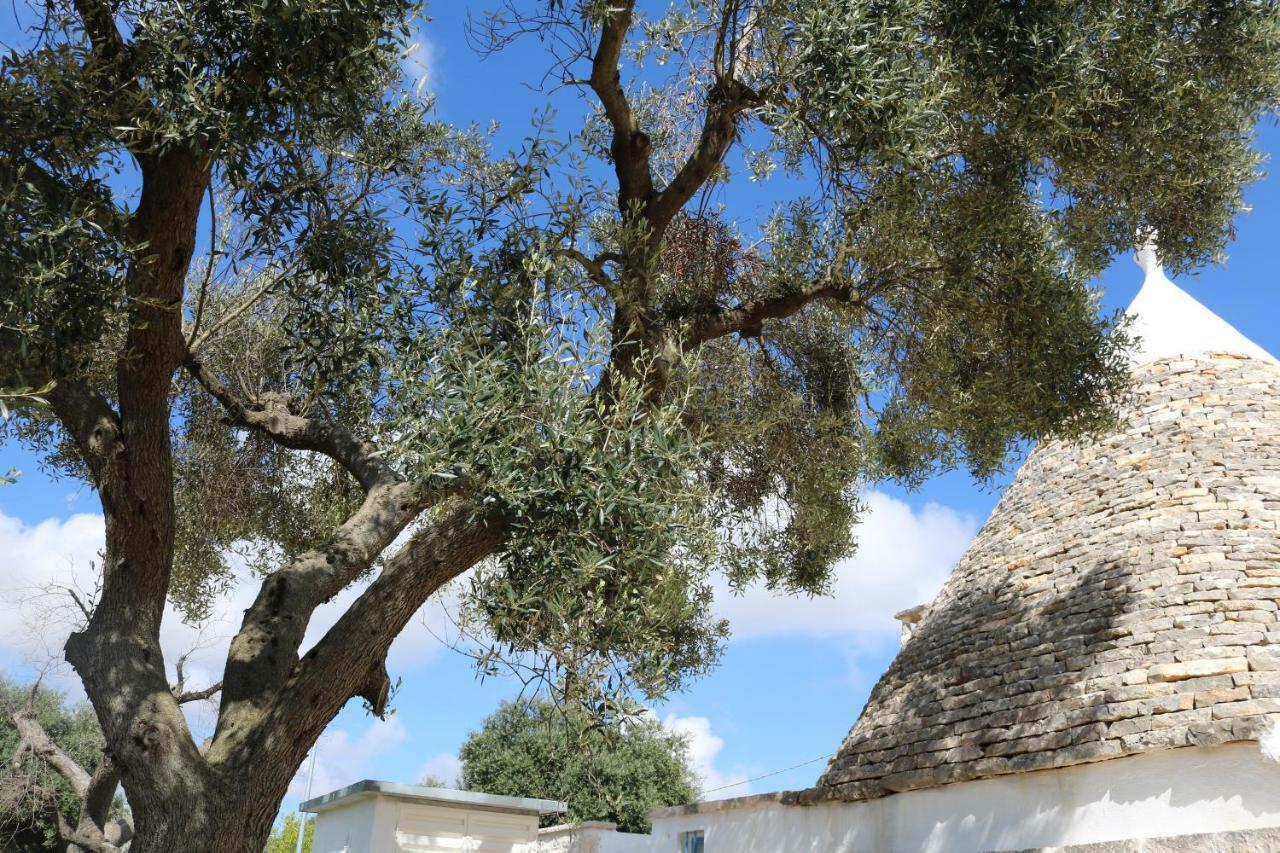 Trulli Alla Controra Конверсано Екстер'єр фото